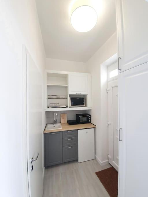 Master Apartment With Air Condition And Separated Rooftop Terrace บูดาเปสต์ ภายนอก รูปภาพ