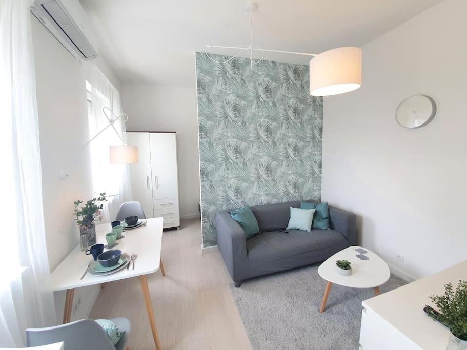 Master Apartment With Air Condition And Separated Rooftop Terrace บูดาเปสต์ ภายนอก รูปภาพ