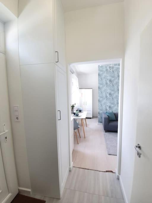 Master Apartment With Air Condition And Separated Rooftop Terrace บูดาเปสต์ ภายนอก รูปภาพ