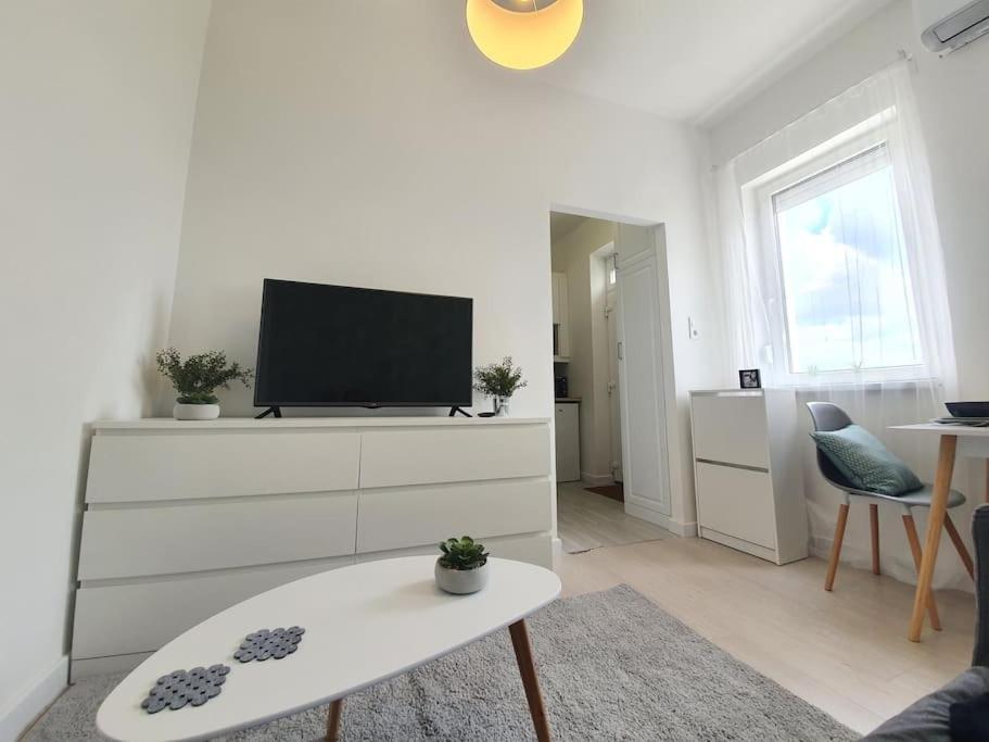 Master Apartment With Air Condition And Separated Rooftop Terrace บูดาเปสต์ ภายนอก รูปภาพ